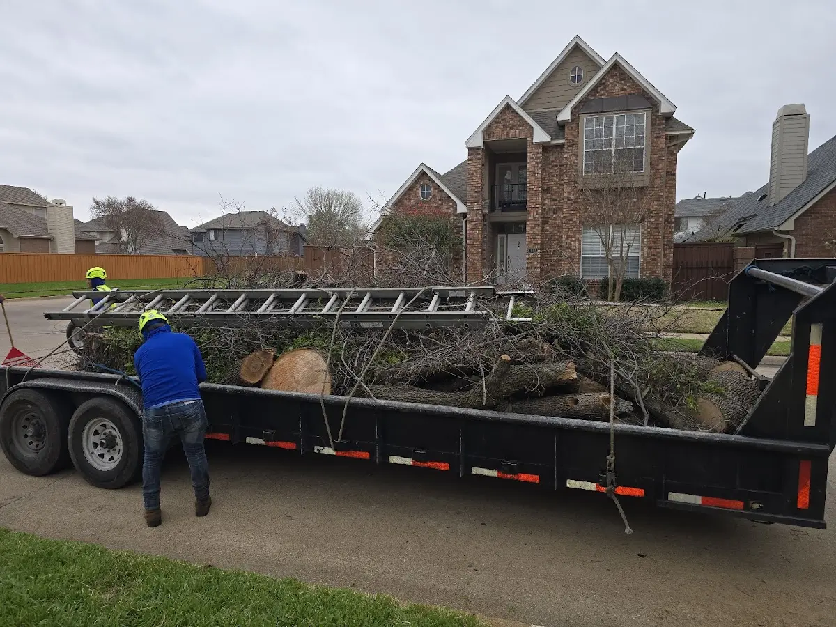 Expert Tree Removal with proper safety equipment in London